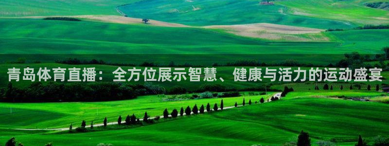 西瓜看球直播app官网ios：青岛体育直播：全方位展示智慧、健康与活力的运动盛宴