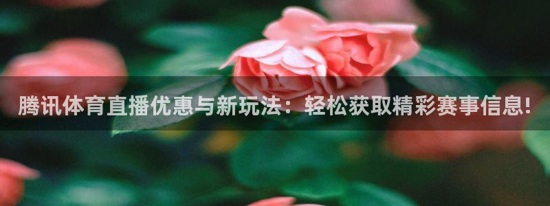 西瓜看球nba直播在线观看：腾讯体育直播优惠与新玩法：轻松获取精彩赛事信息!