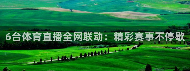 西瓜看球无插件版下载：6台体育直播全网联动：精彩赛事不停歇