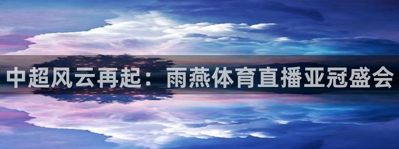 西瓜看球足球直播：中超风云再起：雨燕体育直播亚冠盛会