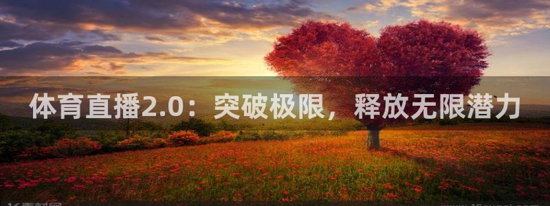 西瓜看球直播在线：体育直播2.0：突破极限，释放无限潜力