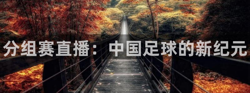 西瓜看球在线免费观看：分组赛直播：中国足球的新纪元