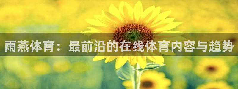 西瓜看球网站：雨燕体育：最前沿的在线体育内容与趋势
