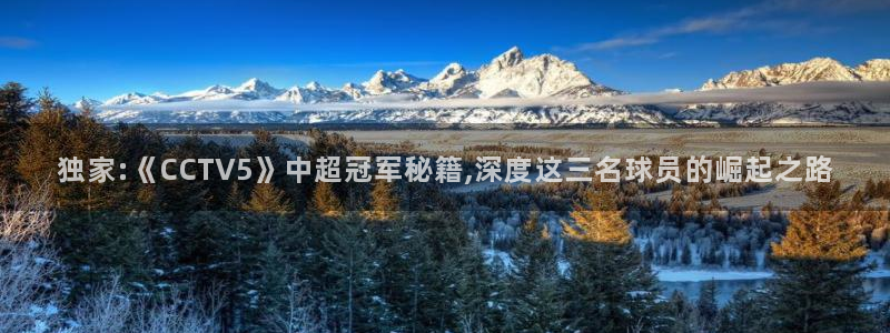 足球直播西瓜看球：独家:《CCTV5》中超冠军秘籍,深度这三名球员的崛起之路