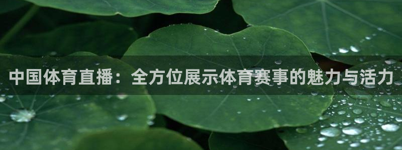西瓜看球直播app官网：中国体育直播：全方位展示体育赛事的魅力与活力