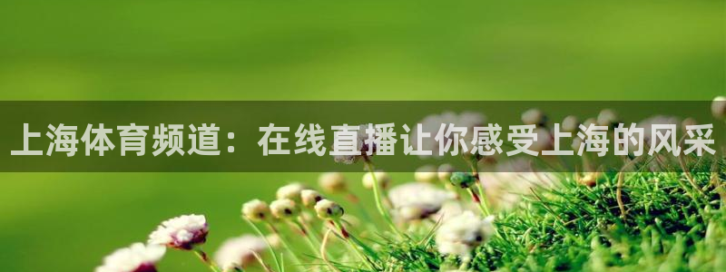 西瓜看球网页直播：上海体育频道：在线直播让你感受上海的风采