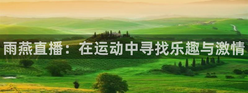 西瓜看球网址：雨燕直播：在运动中寻找乐趣与激情