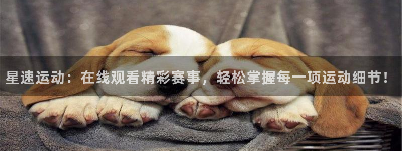 nba在线直播西瓜看球：星速运动：在线观看精彩赛事，轻松掌握每一项运动细节！