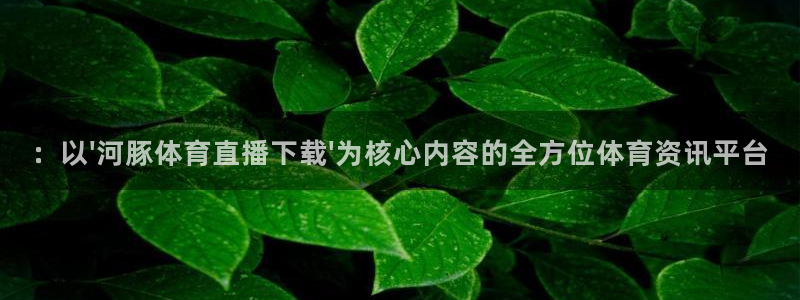 西瓜看球app安卓版：：以\'河豚体育直播下载\'为核心内容的全方位体育资讯平台