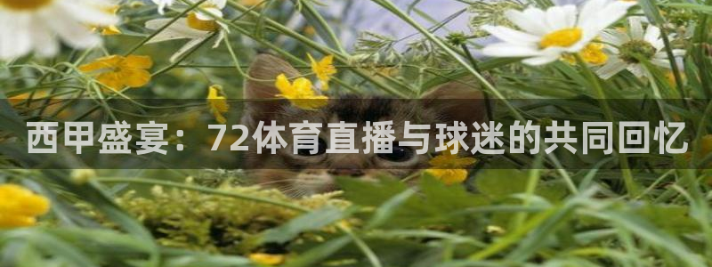 西瓜看球免费观看：西甲盛宴：72体育直播与球迷的共同回忆
