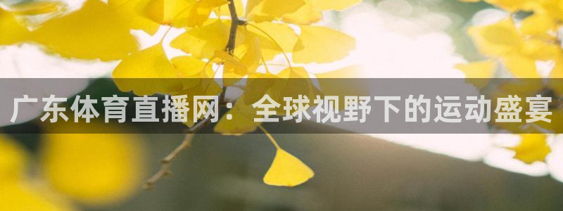 西瓜看球app安卓版：广东体育直播网：全球视野下的运动盛宴